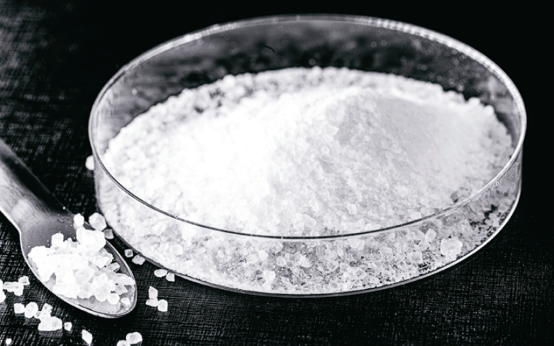 Cyjanek i profesor z Pittsburgha