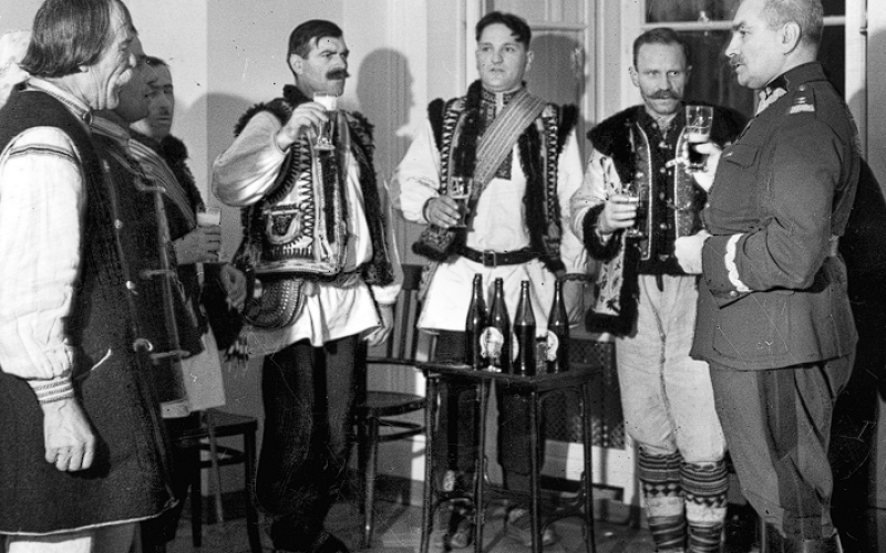 Malujemy sosny dla pana starosty!