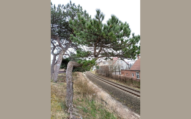 Zamach na Kuźnicę