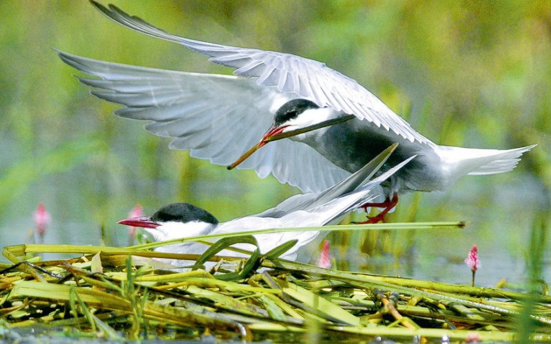 Na wyspach życia dzieją się cuda