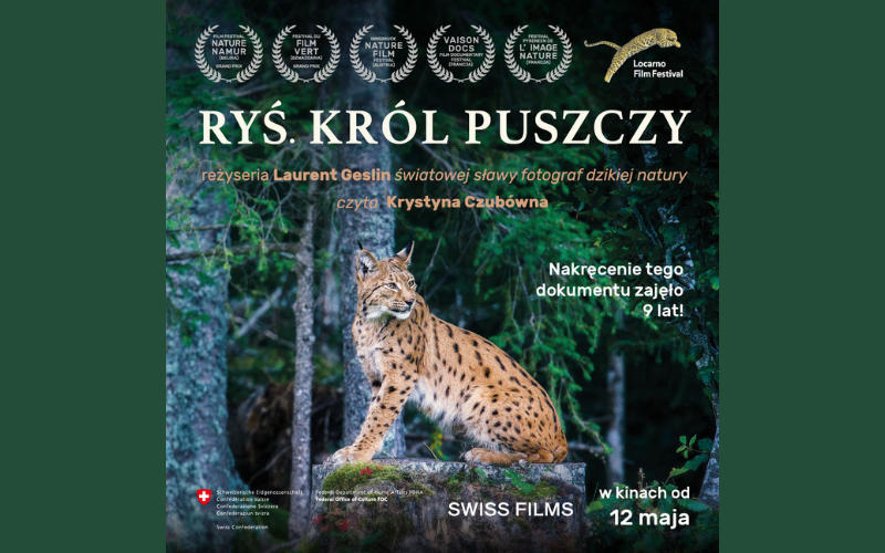 Aurora wesprze WWF w ochronie rysi