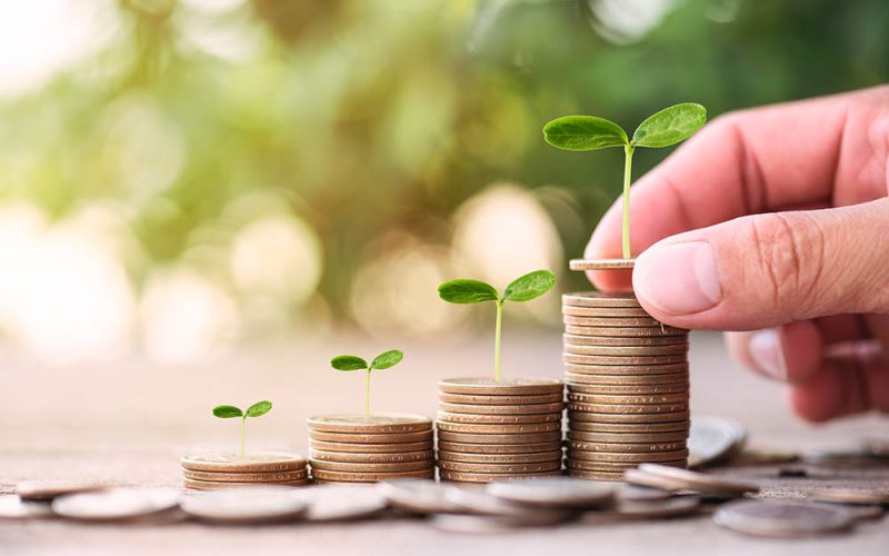 Wielkie zielone pieniądze