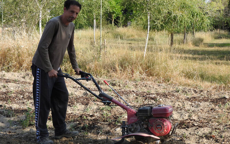 Arterra – jak żyć razem