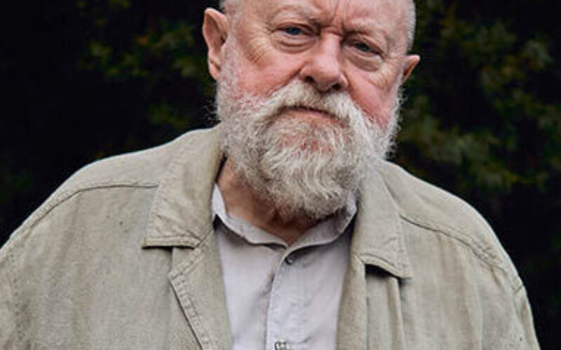 Język polski w czasach zarazy politycznej