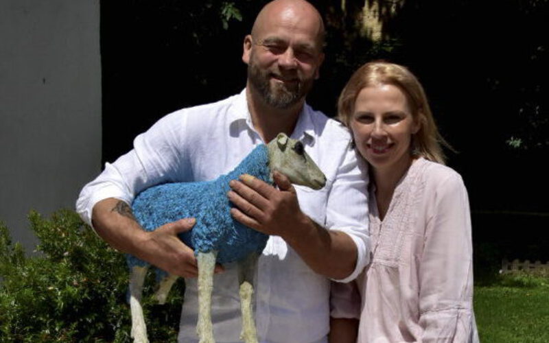 Pod niebieską owieczką