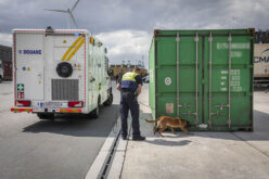 Światowe centrum koksu