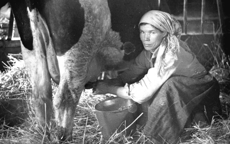 Nie zadawaj się z plewami, bo cię świnie zjedzą