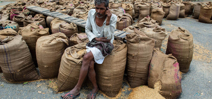 Wszystkie ziarna kryzysu