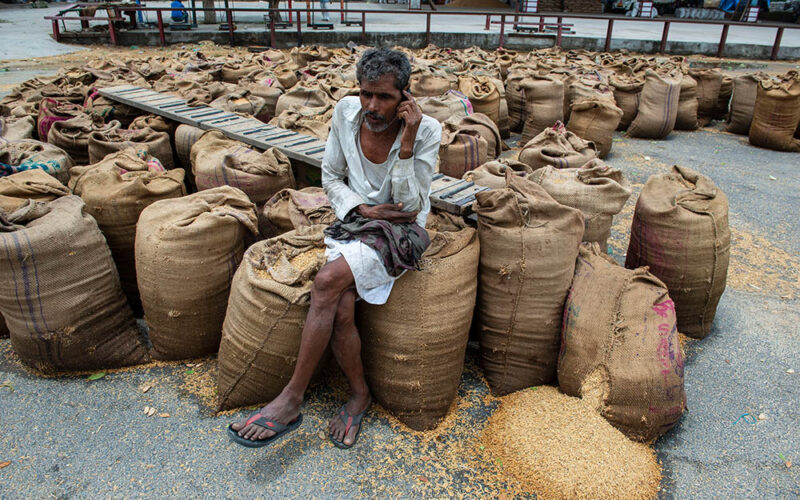 Wszystkie ziarna kryzysu