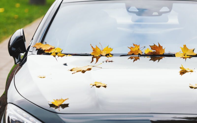 Jak zapobiegać korozji i dbać o karoserię w miesiącach jesiennych?