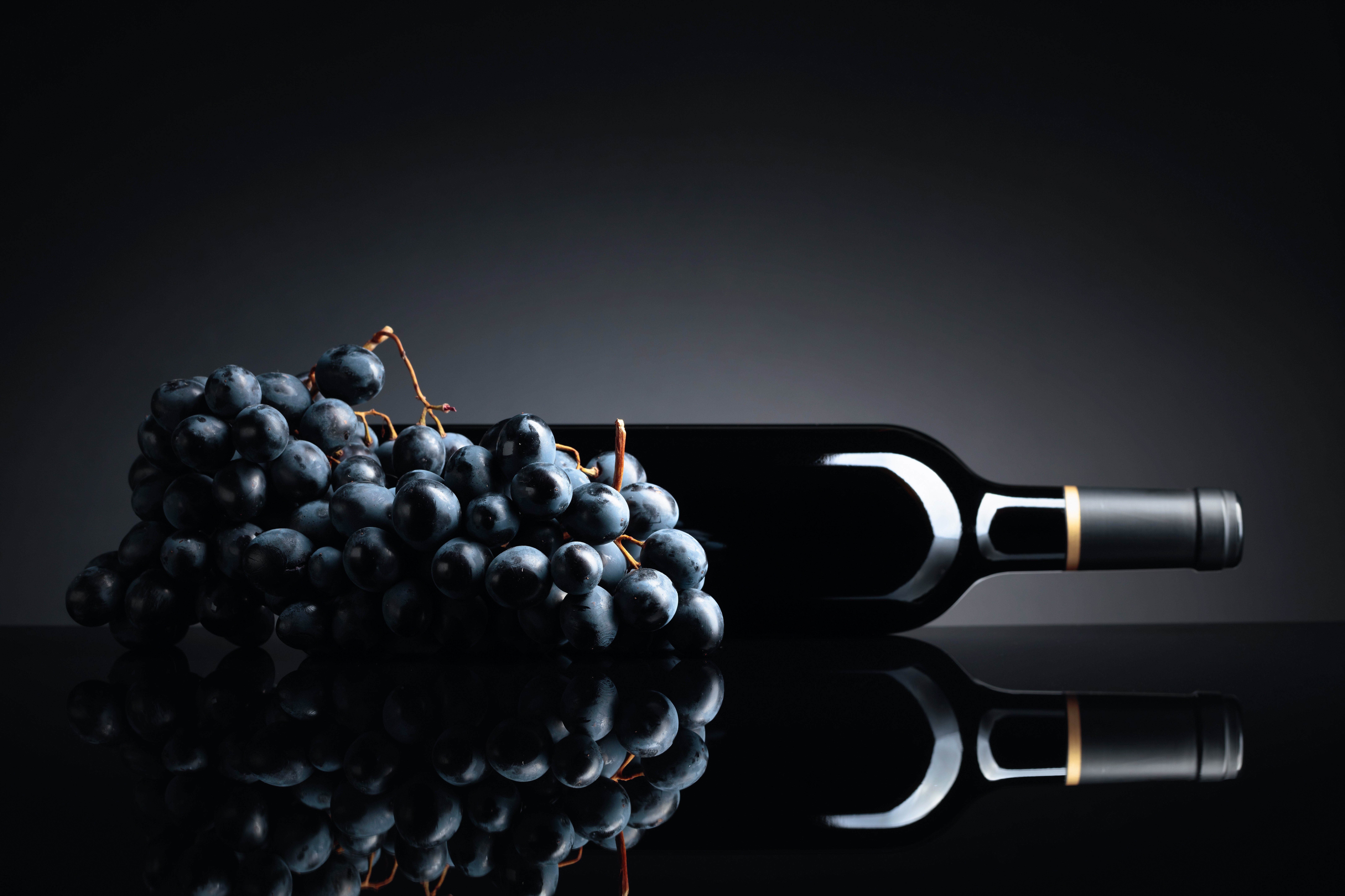 Merlot – francuski pewniak na każdą okazję