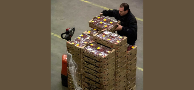 Odkryj świat szans w holenderskim sektorze produkcji z IK Recruitment