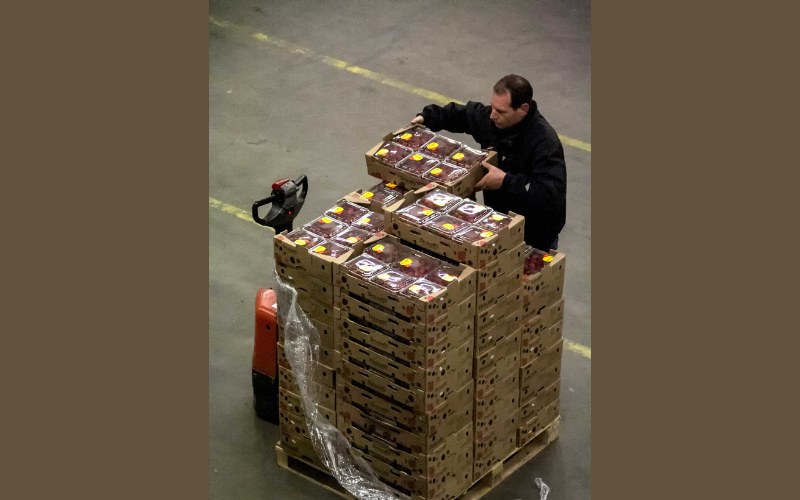 Odkryj świat szans w holenderskim sektorze produkcji z IK Recruitment