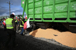 Zbożowy problem techniczny