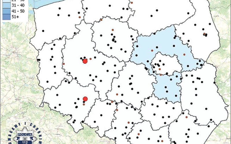 Wakacyjna śmierć za kółkiem