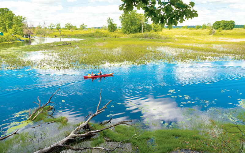 Biebrza wymaga poświęcenia