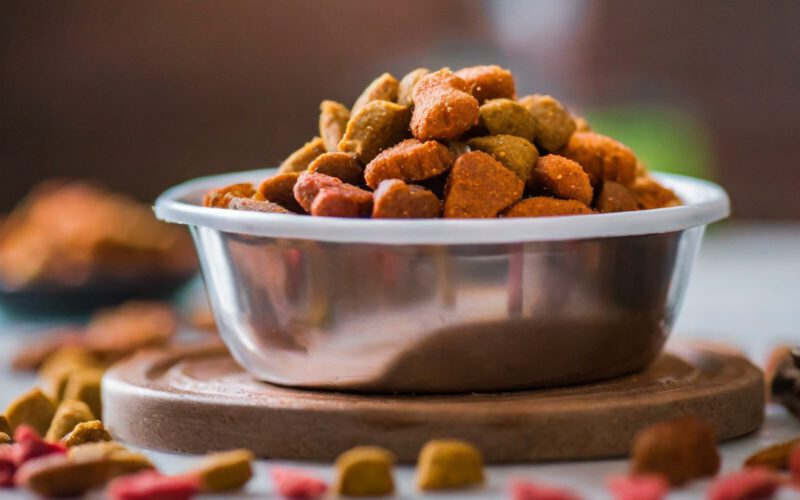 Jak wybrać idealną karmę dla psa, aby wspierać jego zdrowie na co dzień?