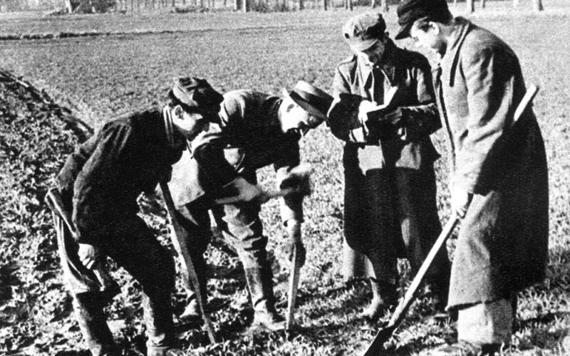 Reforma rolna 1944 czyli przewrót cywilizacyjny