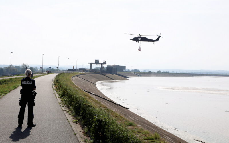 Głupi Polak po szkodzie