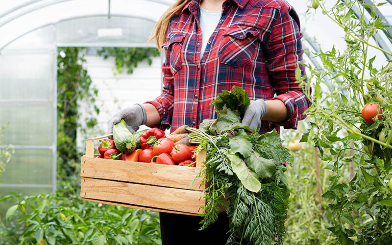 Polskie znaczy lepsze