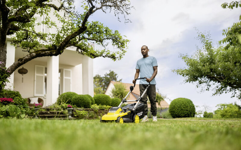 Pielęgnacja trawnika – O czym warto pamiętać?