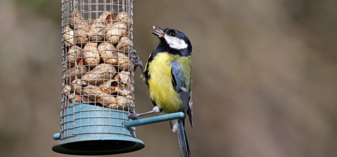 Karmniki, czyli jak utrudnić sobie życie