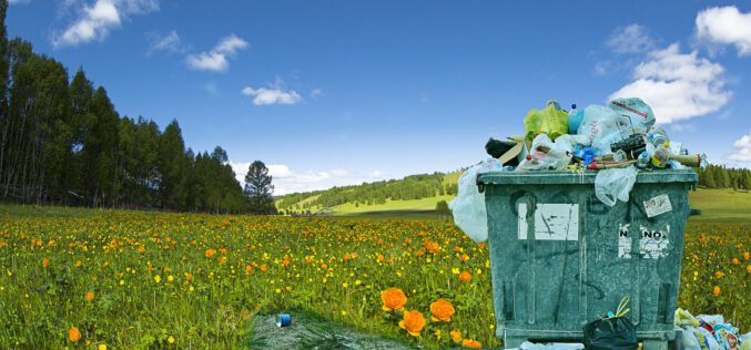 Odpowiedzialny wybór kontenera na odpady – krok w stronę ekologii i porządku