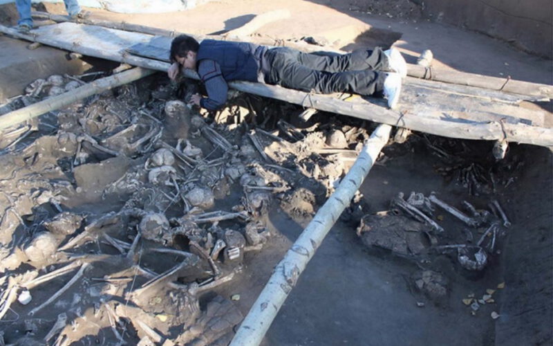 Życie z patogenami