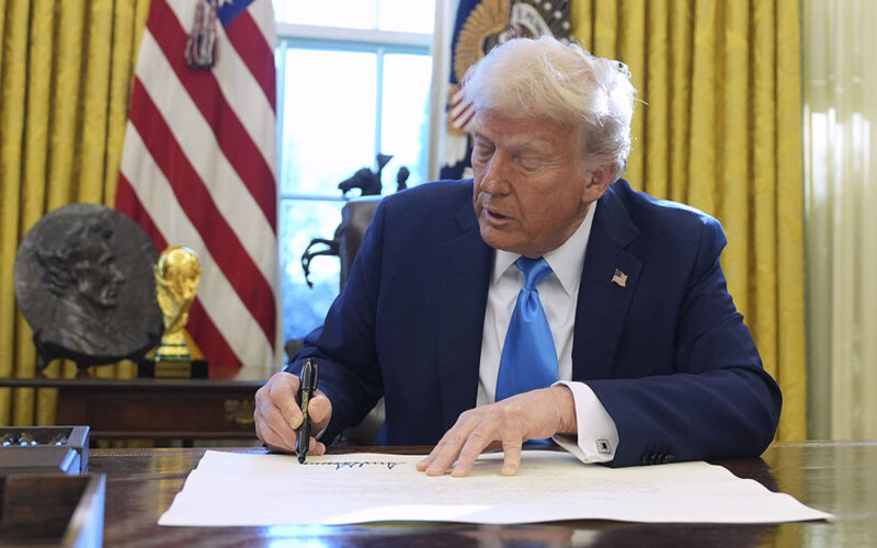 Wybory amerykańskiej Polonii