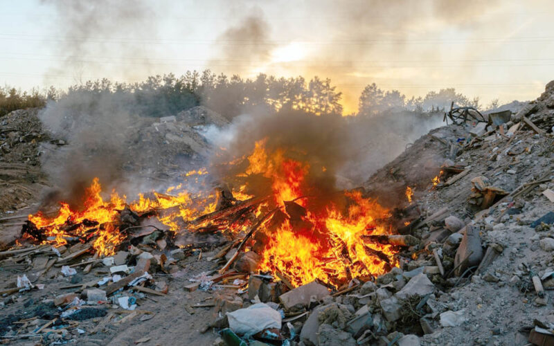 Nowotwór, który toczy Włochy