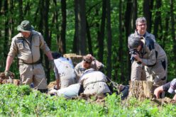 „Tragiczne okoliczności” zamiast mordu