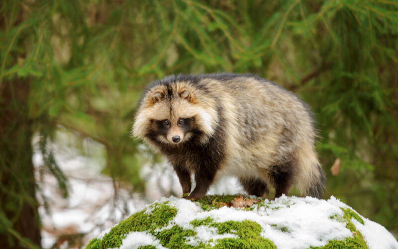 Obcy są wśród nas