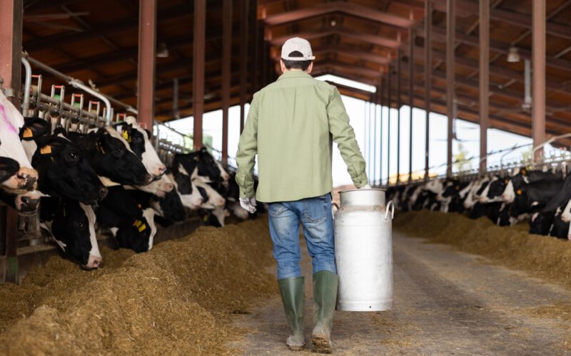 Miał być bank rolny