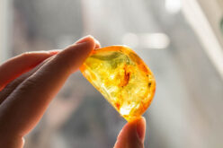 Pokaż, dziewczyno, ścibkę!