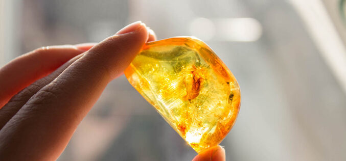 Pokaż, dziewczyno, ścibkę!