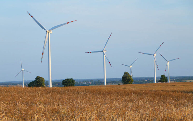 Jak żyć z wiatrakami?