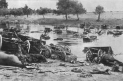 Złoto dla ministrów