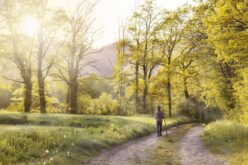 Jak codzienna rutyna wpływa na zdrowie fizyczne i psychiczne?