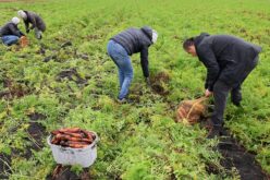 Polska wieś ugina się pod ciężarem problemów