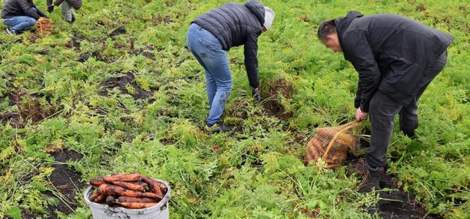 Polska wieś ugina się pod ciężarem problemów
