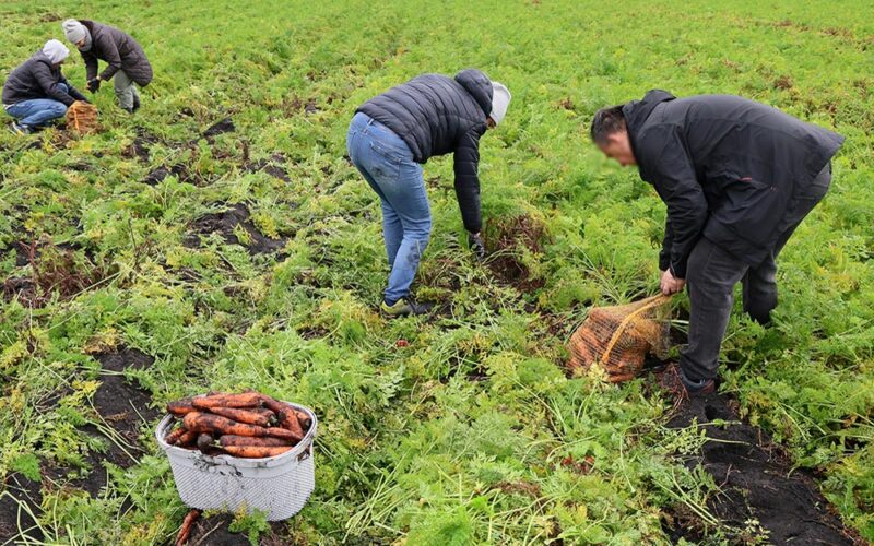 Polska wieś ugina się pod&nbsp;ciężarem problemów