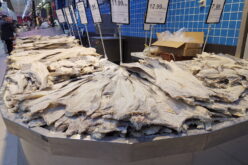 O co chodzi z tym dorszem?