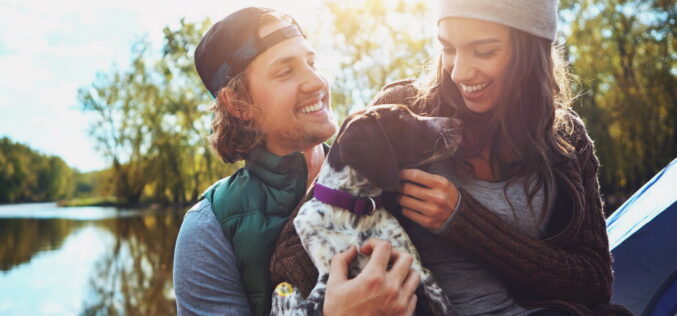 Smycz zamiast wózka