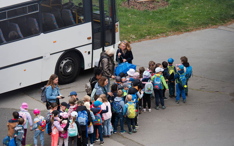 Paradoks szkolnej wycieczki