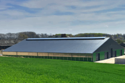 O czym pamiętać budując hale stalowe?