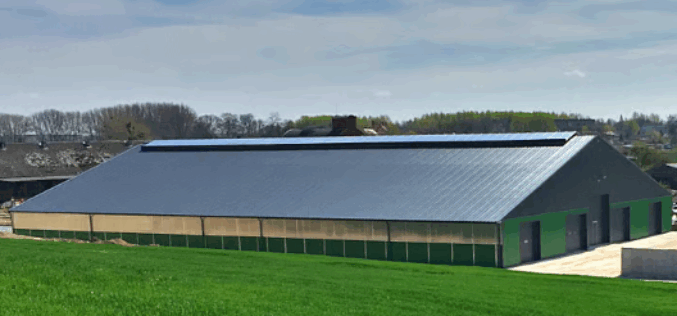 O czym pamiętać budując hale stalowe?