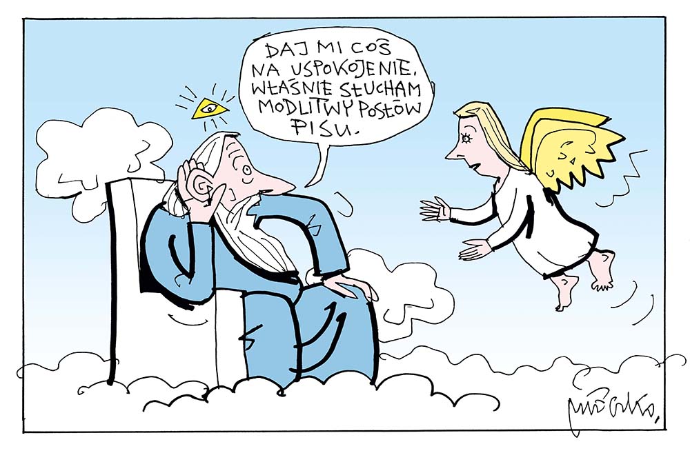 Rysunek A. Mleczki z PRZEGLĄDU nr 50/2025