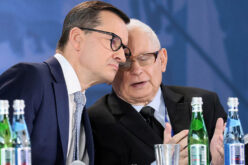 Delfin na&nbsp;mieliźnie