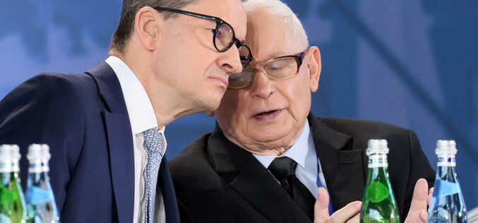 Delfin na&nbsp;mieliźnie