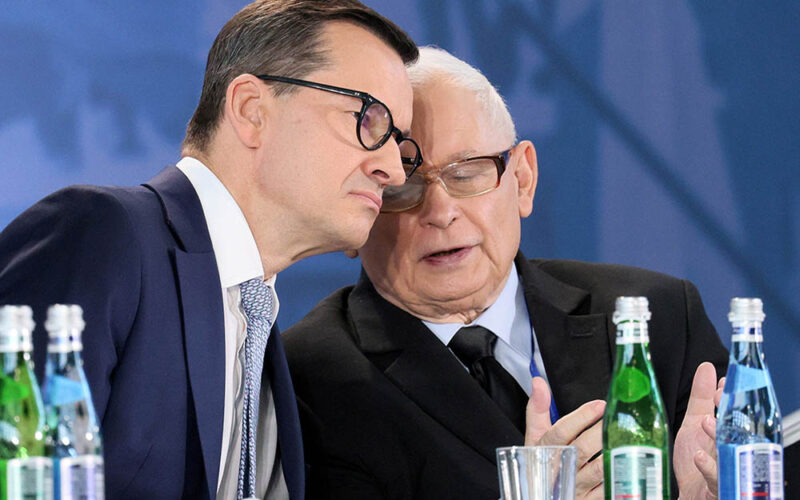 Delfin na&nbsp;mieliźnie